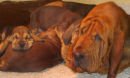 Beauty Sleep!